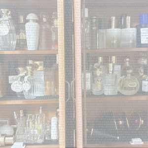 희귀 단독 매물! 미젠시르 쏠라 블라썸 (Mizensir Solar Blossom) 판매 (37만 원 구매) 이미지