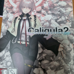 닌텐도 스위치 칼리굴라2 한정판