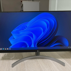 LG 울트라와이드 29인치 모니터 29WN600