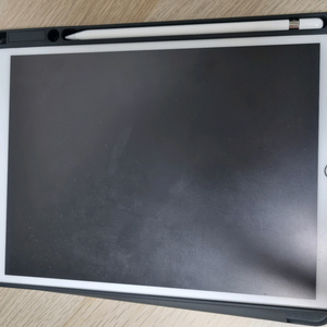 아이패드 프로 10.5 256GB 와이파이 애플펜슬