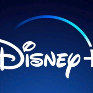 디즈니 플러스 1년 공유