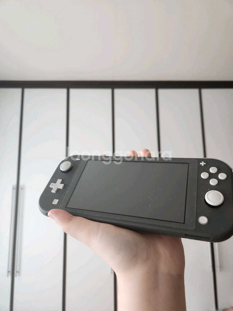 닌텐도 스위치 라이트--0