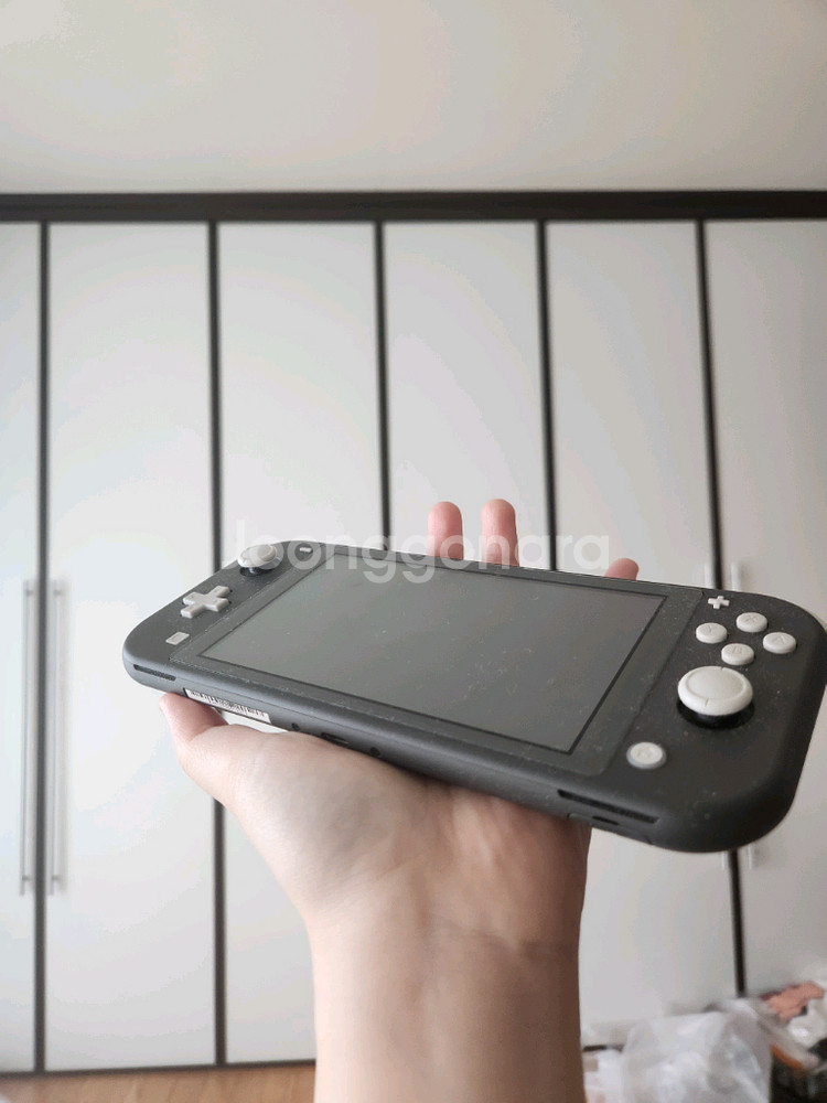 닌텐도 스위치 라이트--1