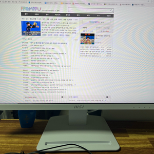 MSI PRO MP243X 모니터