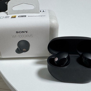 소니 wf1000xm5