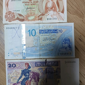 화폐, 지폐 , 외국돈