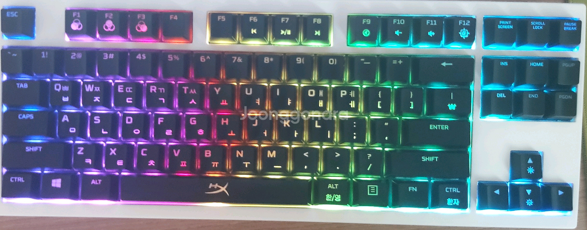 트랜지션라이트he 트랜라he 래피드트리거 키보드팝니다--2