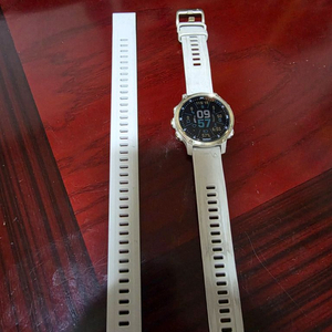 가민디센트MK2S 다이빙컴퓨터