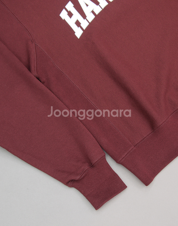 Champion USA 챔피온 미국판 클래식 하버드 리버스위브 스웻셔츠L/2XL 105~110 맨투맨오버핏 아이비룩--7