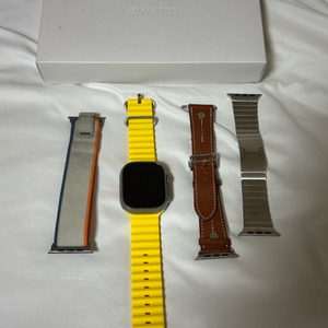 애플워치 울트라2 티타늄 애케플 포함