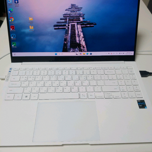 갤럭시북 프로 NT950XED