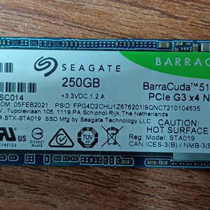 바라쿠다 510 SSD 250GB