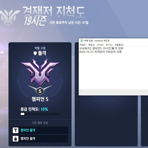 오버워치 대리[3티어 15%할인]