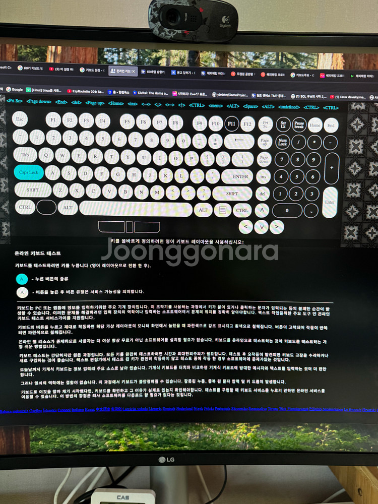 레오폴드 FC750RT 청축--4