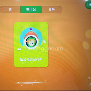 도요새 영어 프리패스