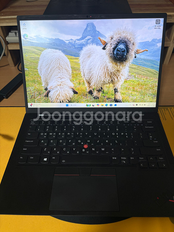 Thinkpad Carbon 씽크패드 카본 Gen9--0