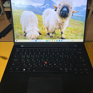 Thinkpad Carbon 씽크패드 카본 Gen9