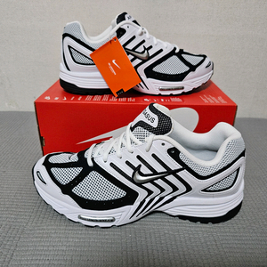 [285]나이키 AIR 페가수스 2K5(BWS)