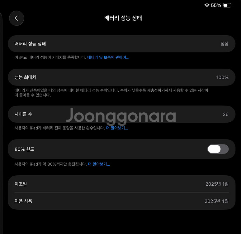 아이패드 프로 13인치 M4 1TB 셀룰러 나노텍스쳐--2