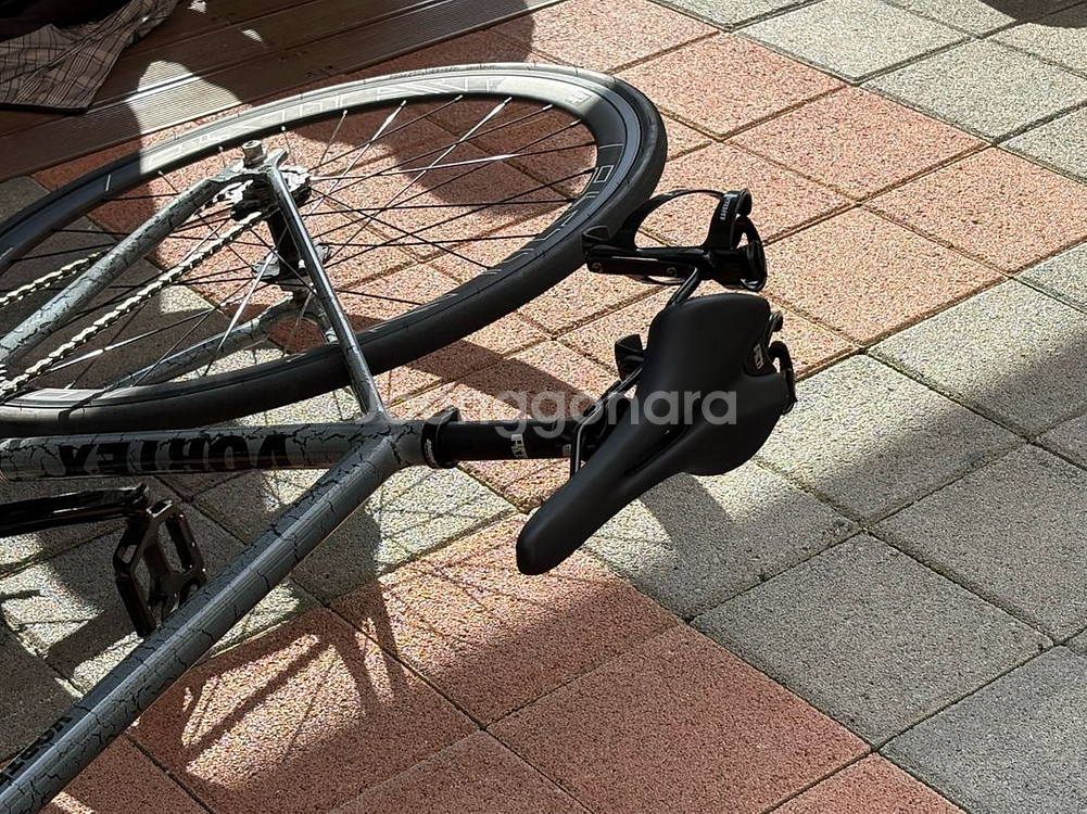 엔진11 볼텍스 2025--0