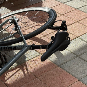 엔진11 볼텍스 2025