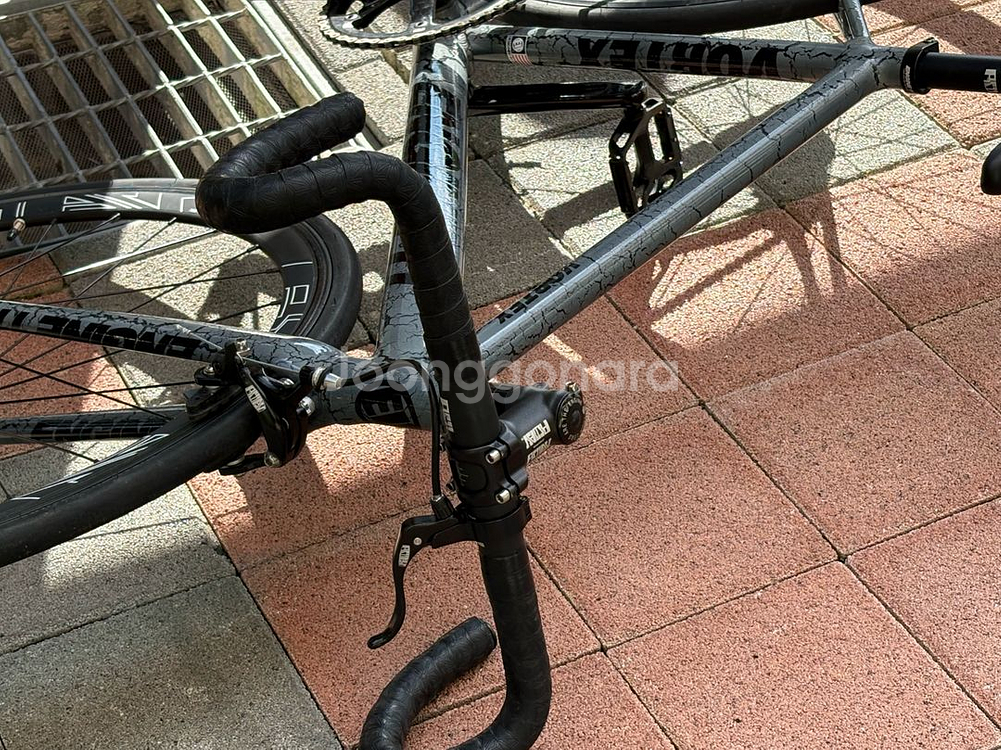 엔진11 볼텍스 2025--1