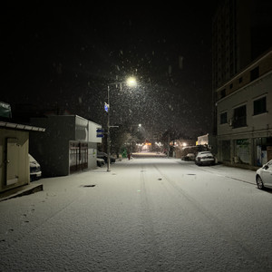 설날 특별사진 굿즈