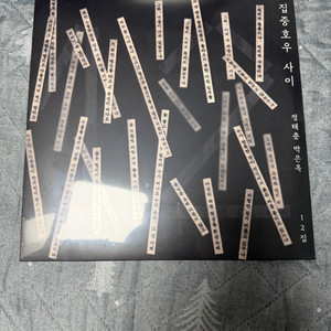 LP 가요] 정태춘 박은옥 2025년 새 앨범 미개봉 판매합니다 / 레코드 음반