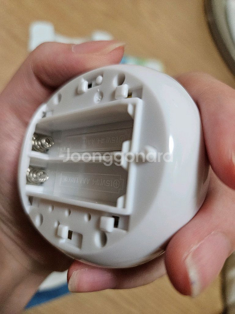 다마고치 파스텔 미츠 풀박--4