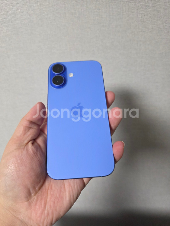 아이폰16 블루 128기가 SS급 팝니다(배터리100%)--1