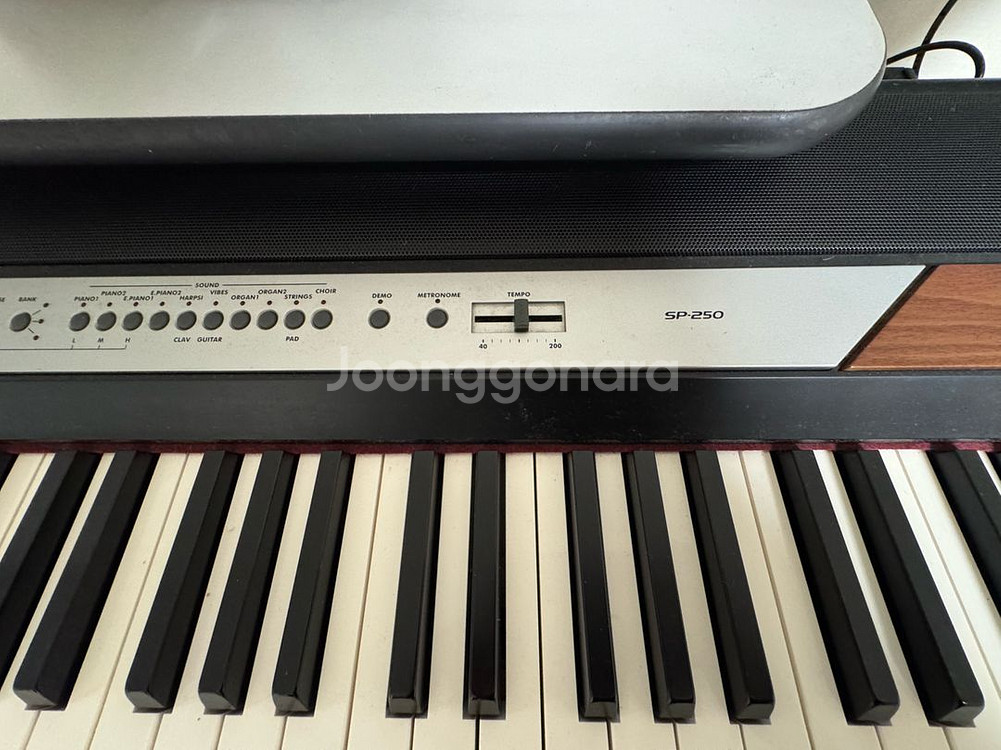 코르그 SP-250 디지털 피아노--2