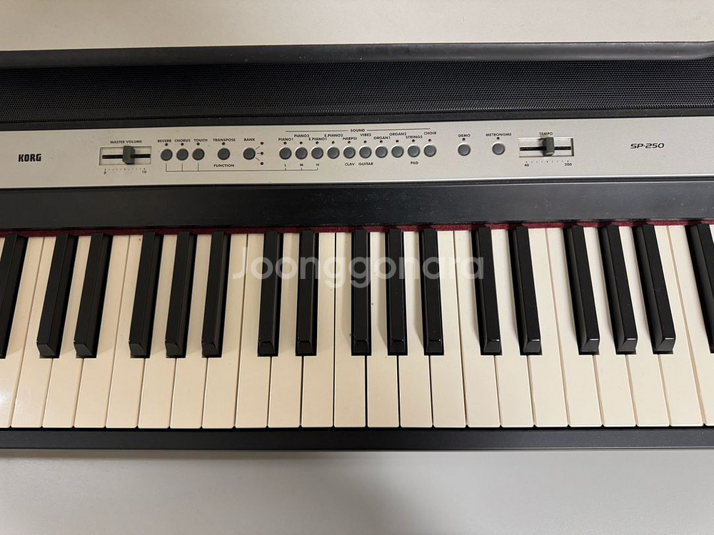 코르그 SP-250 디지털 피아노--1