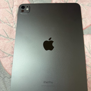 아이패드 11 프로 M4 256 스그 wifi