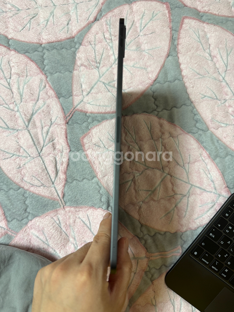 아이패드 11 프로 M4 256 스그 wifi--6