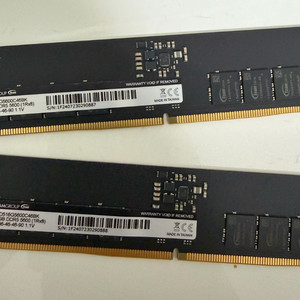 DDR5 5600 16gb 램 2개