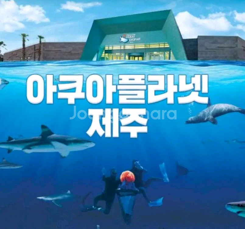 아쿠아플라넷 제주 입장권--0
