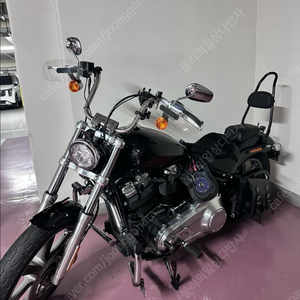 (2월까지 할인) 할리데이비슨 소프테일 스탠다드 23년 12월식 이미지
