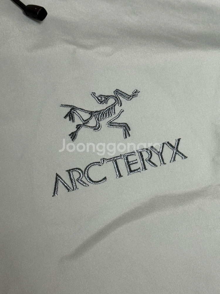 아크테릭스 베타LT 루센트 L사이즈--10