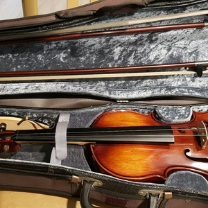 Universal 바이올린 4/4 풀세트