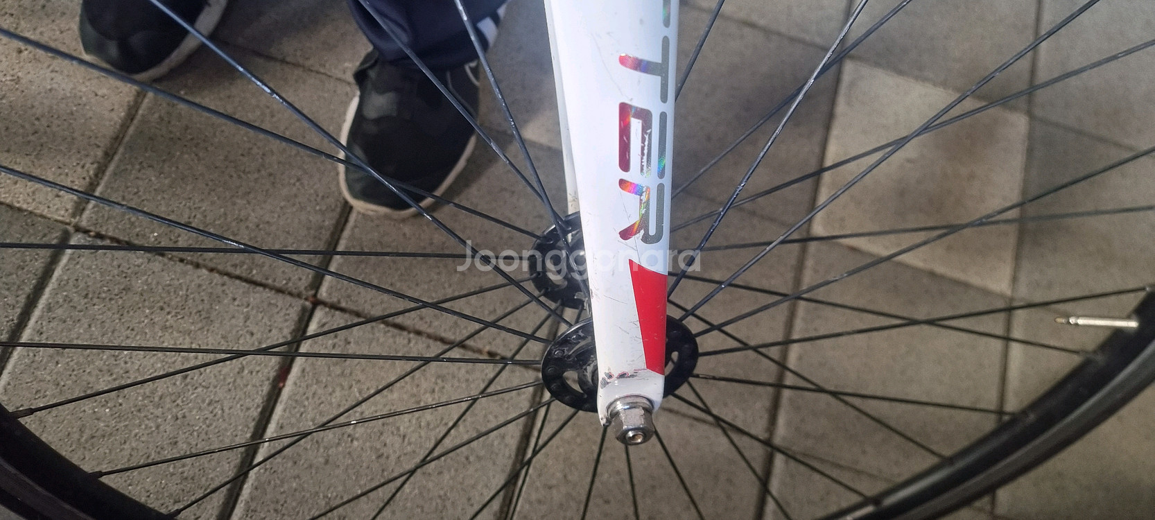 트위터 풀카본 픽시자전거(브레이크있음) 급전판매--8