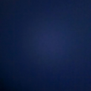 디스코드 알로항 봇 머니 돈 팝니다