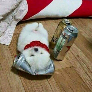 토이라이즈 제네식 가오가이가 팝니다