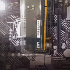 DDR5 32GB 메모리 컴퓨터견적가능