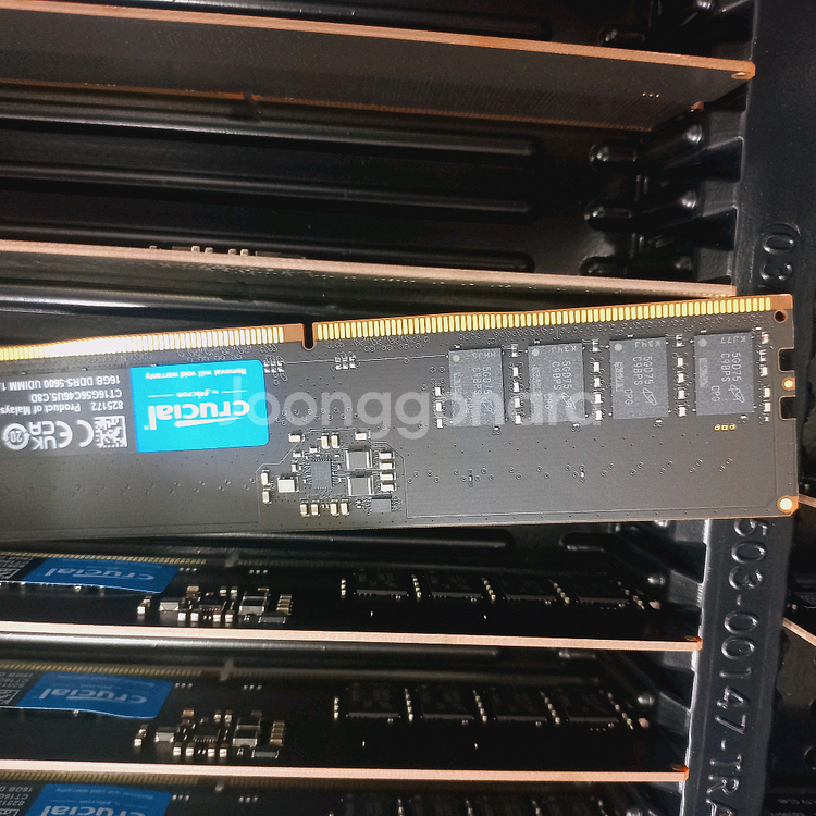 DDR5 32GB 메모리 컴퓨터견적가능--1