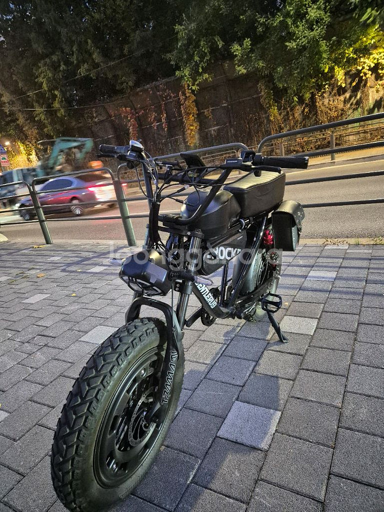 벤틀러스 XT20-RSP 자토바이 전기자전거--2