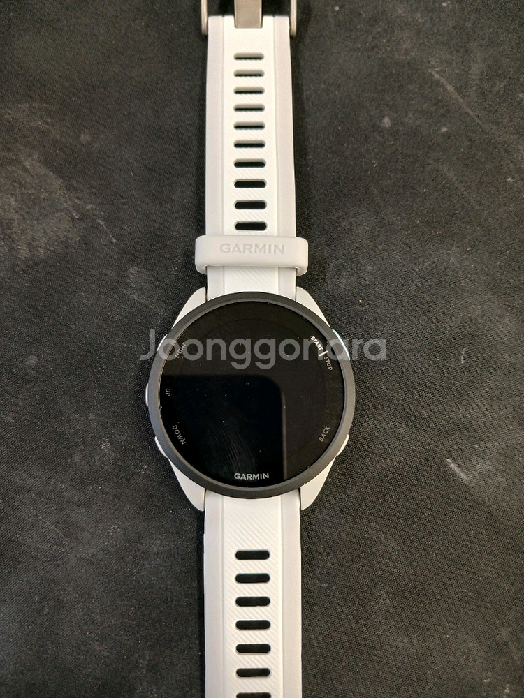 가민 포러너 165 화이트--0