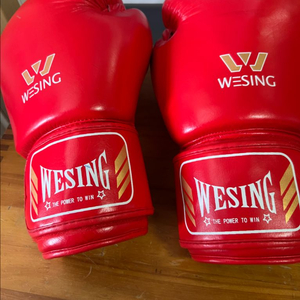 WEING 위싱 복싱글러브 16온즈