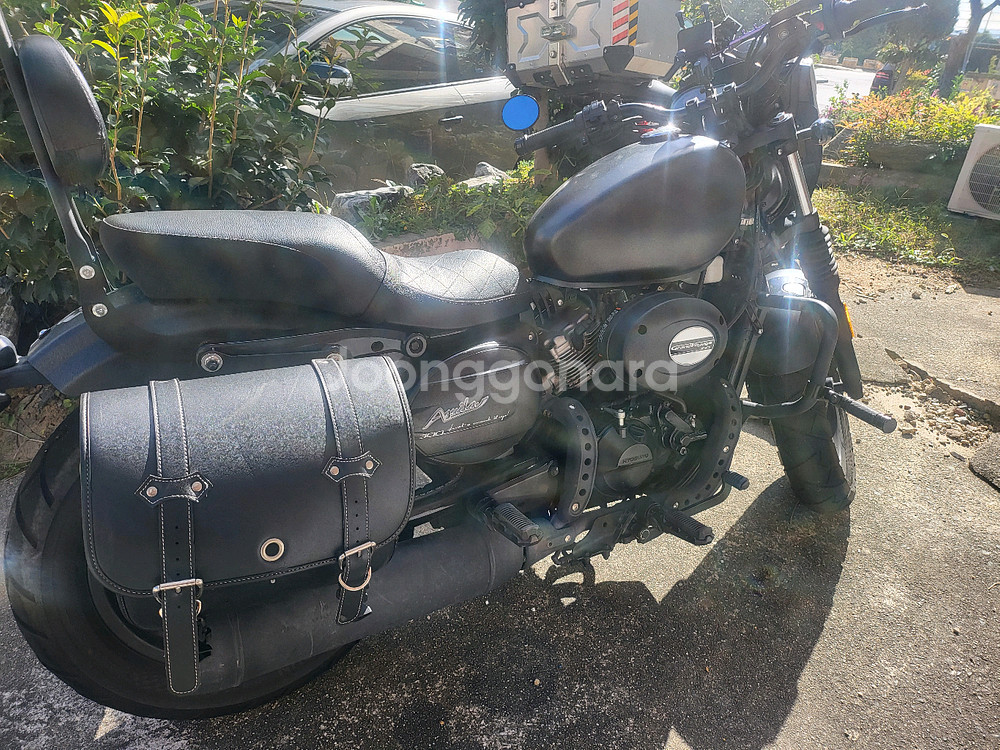 KR모터스 아퀼라 300 23년식 8@@@km--1