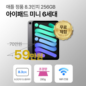 애플 아이패드 미니 6세대 64GB/256GB