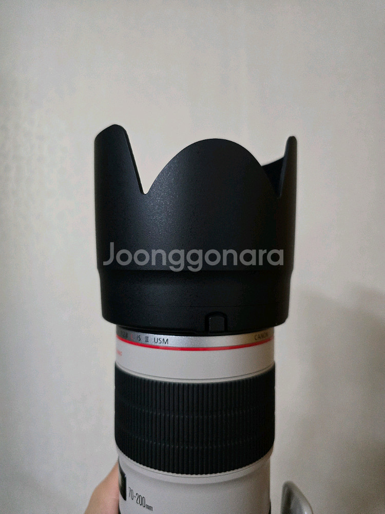 캐논 EF 70-200mm F2.8L is ii usm--9